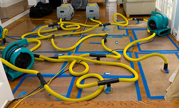 Professional Water Damage Repair technician working in Natalia, TX